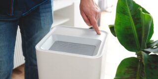 Jakie środki najlepiej oczyszczają powietrze w domu?